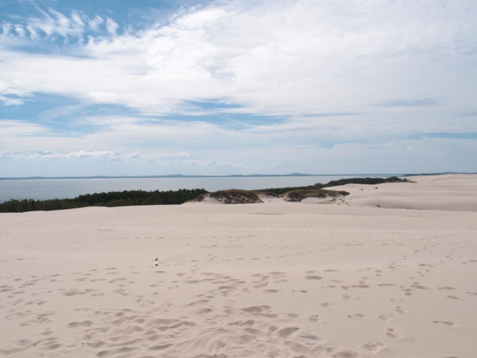 Z Łeby stojí za to si udělat okruh na duny, zde duna Łącka a za ní Łebské jezero.